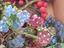 Immagine 6