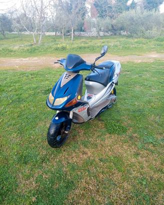 smembro derbi predator 50 