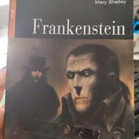 Frankenstein by Mary Shelley, Black Cat B2.2