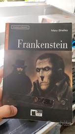 Frankenstein by Mary Shelley, Black Cat B2.2