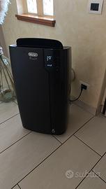 Pinguino de longhi