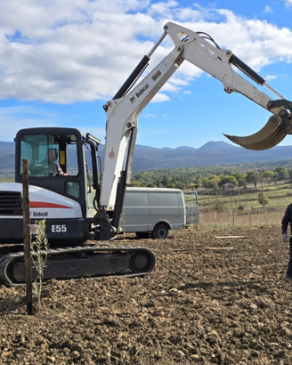 Escavatore bobcat E55