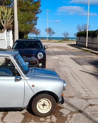 cerchi 10 con canale 6 per Austin rover innocenti 