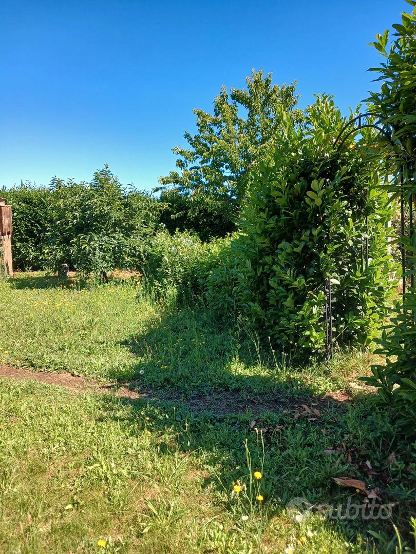 Terreno agricolo - Vista 2