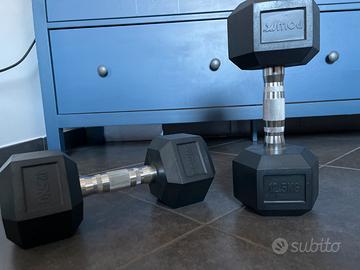 Manubri palestra 25 kg totali