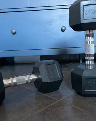 Manubri palestra 25 kg totali