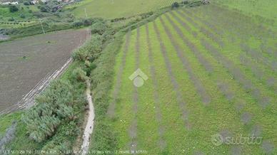 TER. AGRICOLO A CASTELLAMMARE DEL GOLFO