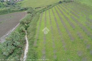 TER. AGRICOLO A CASTELLAMMARE DEL GOLFO