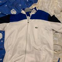 felpa lacoste