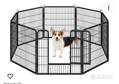 Kennel