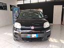 fiat-panda-1-2-bnz-gpl-2018-con-garanzia