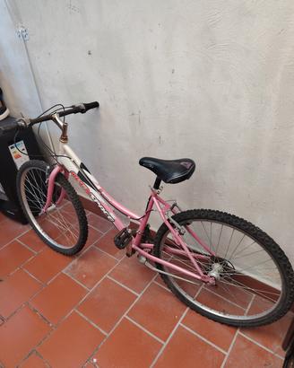 bici openspace
