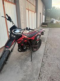 Beta 50 2010