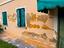Immagine 5