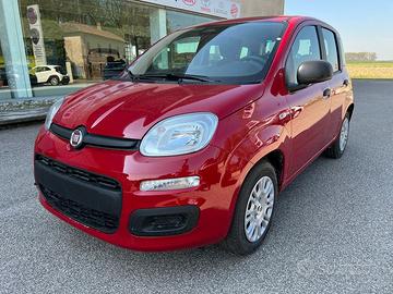 FIAT Panda My25 1.0 70cv Hybrid Panda