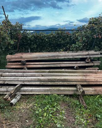 Pali in cemento per vigneto o frutteto