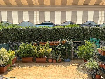 Ampio app.to con collegamento all'interrato