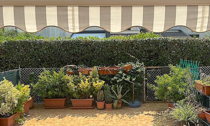 Ampio app.to con collegamento all'interrato