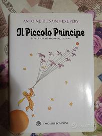 Il Piccolo Principe