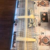 Scolapiatti Leroy Merlin