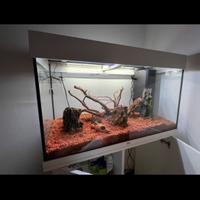 Acquario rio juwel 125l.