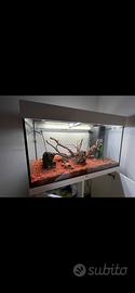 Acquario rio juwel 125l.