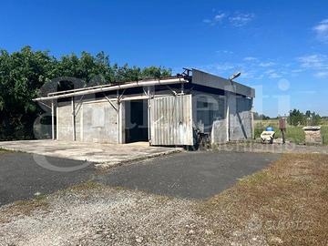 Terreno Agricolo Latina [Cod. rif 3315247VRG]