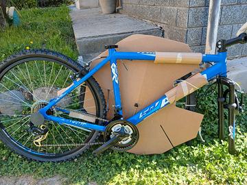 bicicletta