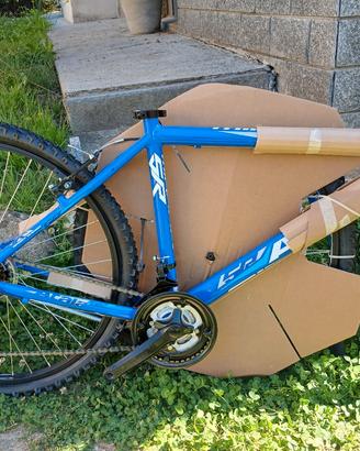 bicicletta