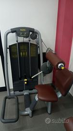 LOWER BACK TECHNOGYM LINEA SELECTION