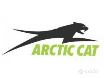 Ricambi usati Arctic Cat