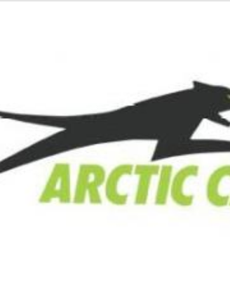 Ricambi usati Arctic Cat