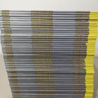 Raccolta completa album figurine panini Gazzetta