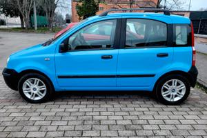 Panda azzurra multijet
