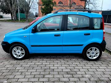 Panda azzurra multijet