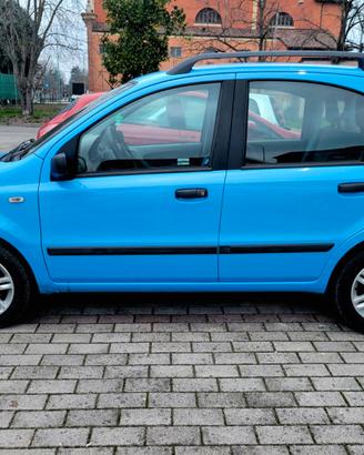Panda azzurra multijet