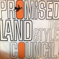 VINILI ORIGINALI del gruppo STYLE COUNCIL