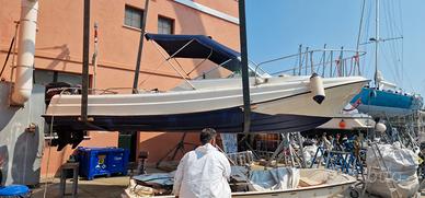 Boston Whaler revenge 21