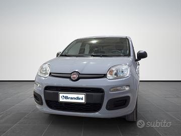 FIAT panda 1.2 Easy s&s 69cv my19