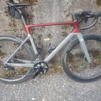 focus izalco max 8.9 2024