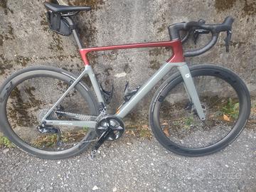 focus izalco max 8.9 2024