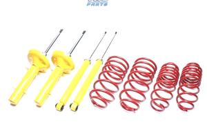 KIT SOSPENSIONE SPORTIVA PER RENAULT