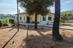 Villa singola 
