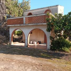 Agrumeto con fabbricato