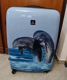 Valigia dei delfini 