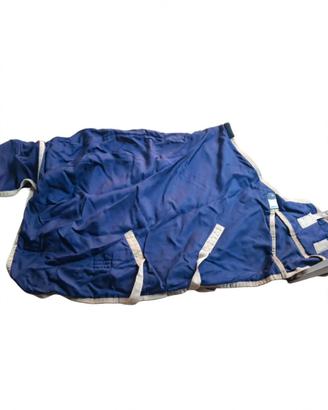 Coperte cavalli 145