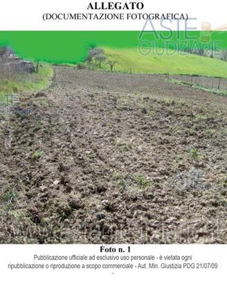 Terreno Agricolo Mondavio [A4342335]
