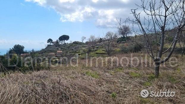 Terreno 7.900 mq tra san giovanni e puntalazzo - Vista 4