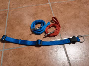 collare + n.2 guinzagli 