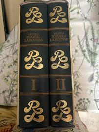 Piccolo Rizzoli Larousse